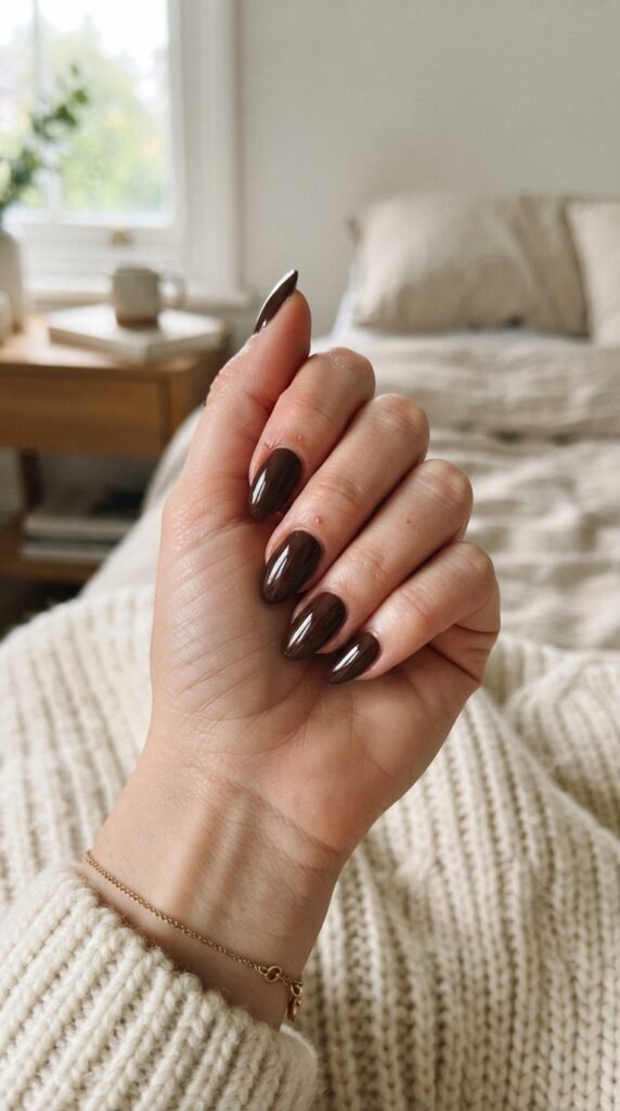 Glossy Chocolate Brown Nail Art